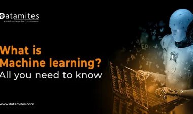 What is Machine Learning & Types of ML Algorithms