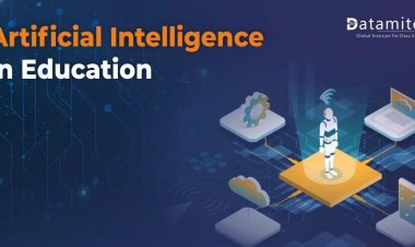 Taking a Look at the Role of AI in Education