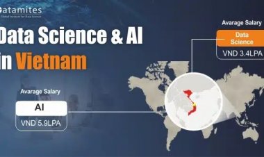 Exploring the Demand for AI and Data Science in Vietnam