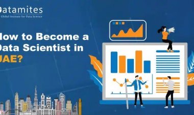 How to Become a Data Scientist in the UAE?