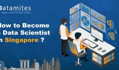 How to Become a Data Scientist in Singapore?