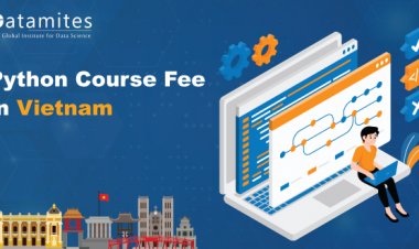 How much is the Python Course Fee in Vietnam?