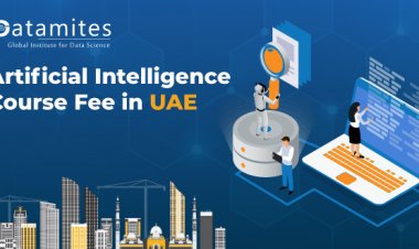 How Much is the Artificial Intelligence Course Fee in UAE?