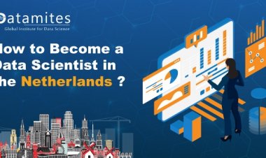 How to Become a Data Scientist in the Netherlands?