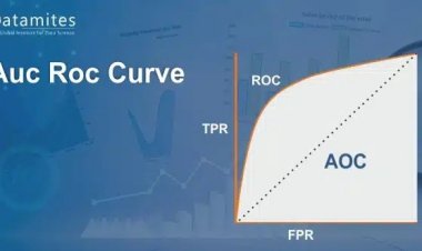 Understanding Auc Roc Curve
