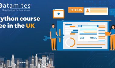 How much is the Python Course fee in the UK?
