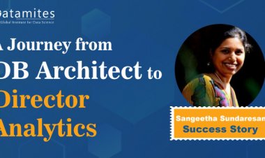 Career Transition from a DB Architect to Director Analytics