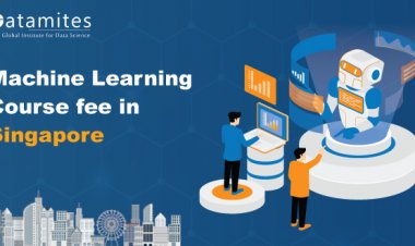 How much is the Machine Learning Course fee in Singapore?