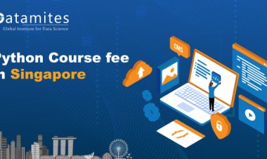 How Much is the Python Course Fee in Singapore?