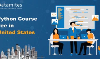 How Much is the Python Course Fee in the United States?