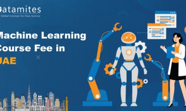 How Much is the Machine Learning Course Fee in UAE?
