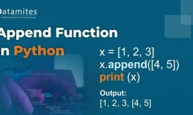 Append Function in Python