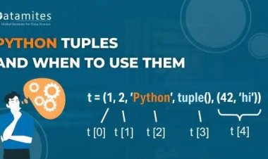 Python Tuples and When to Use them Over Lists