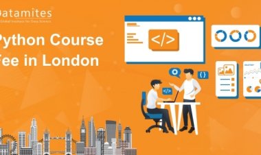 How Much is the Python Course Fee in London?