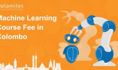 How Much is the Machine Learning Course Fee in Colombo?