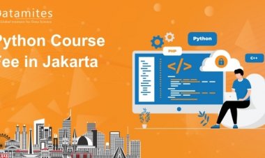 How Much is the Python Course Fee in Jakarta?
