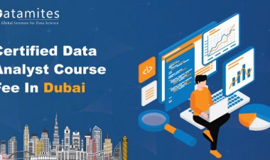 How Much is the Certified Data Analyst Course Fee in Dubai?