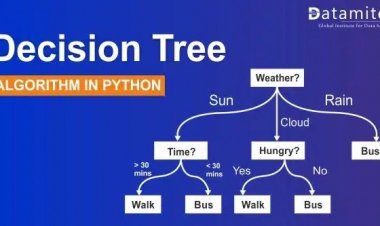A Complete Guide to Decision Tree Algorithm in Python