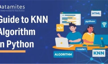 A Comprehensive Guide to K-Nearest Neighbor (KNN) Algorithm in Python