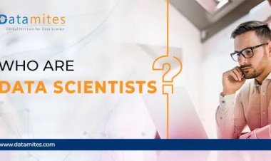 Who are Data Scientists?
