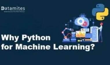Why Learn Python for Machine Learning?