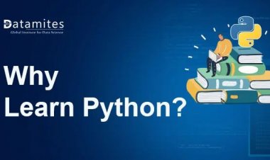 Why is it Important to Learn Python?