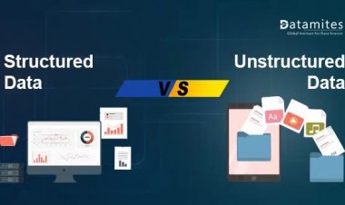 What are Structured Data and Unstructured Data?
