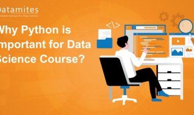 Why Python is Important for Data Science Course