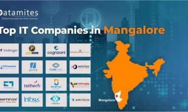 What are the Top IT Companies in Mangalore?