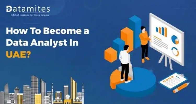 How to Become a Data Analyst in United Arab Emirates?