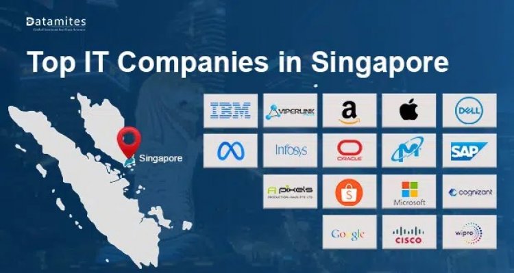 What are the Top IT Companies in Singapore?
