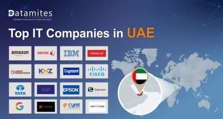 What are the top IT companies in the UAE?