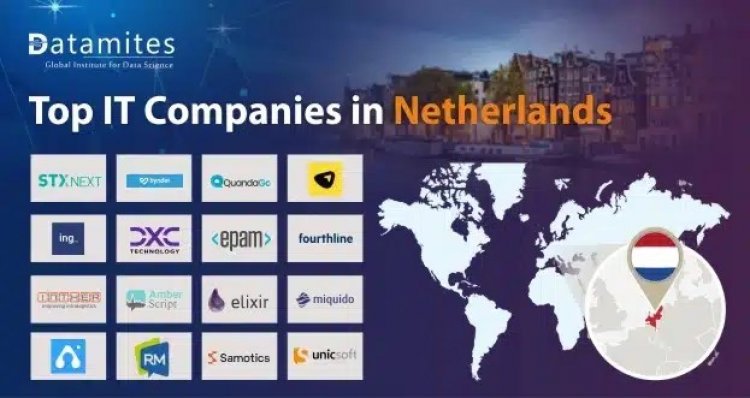 What are the Top IT Companies in the Netherlands?