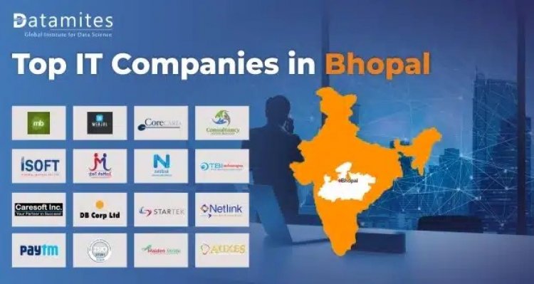 What Are The Top IT Companies In Bhopal?