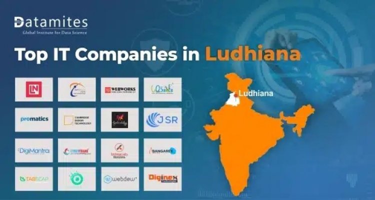What are the Top IT Companies in Ludhiana?