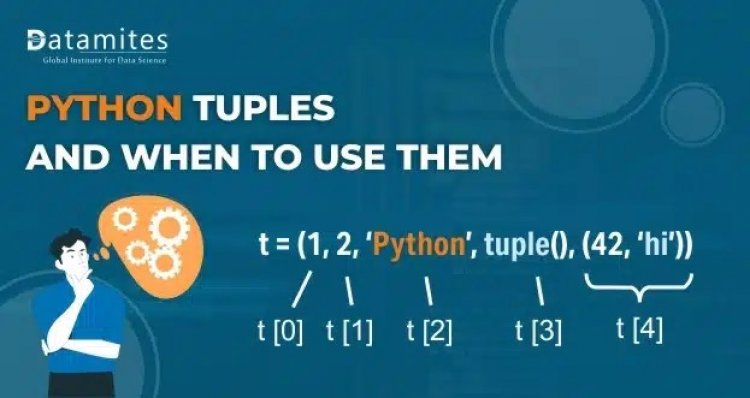 Python Tuples and When to Use them Over Lists