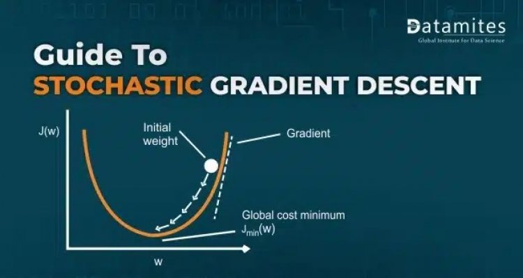 A Complete Guide to Stochastic Gradient Descent (SGD)