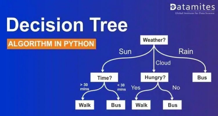 A Complete Guide to Decision Tree Algorithm in Python