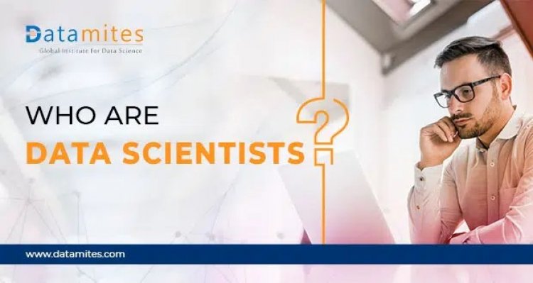 Who are Data Scientists?