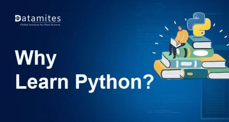 Why is it Important to Learn Python?