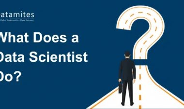 What Does a Data Scientist Do?
