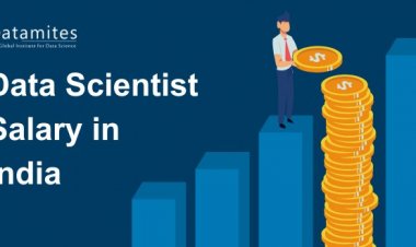 Data Scientist Salary in India: Factors That Matter