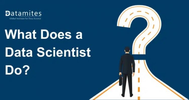 What Does a Data Scientist Do?