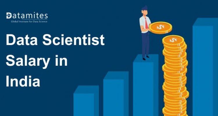 Data Scientist Salary in India: Factors That Matter