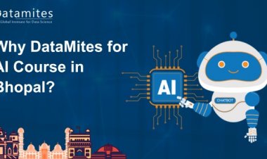 Why DataMites for Artificial Intelligence Course in Bhopal?