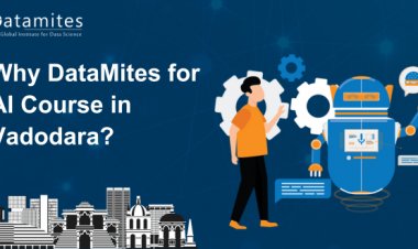 Why DataMites for Artificial Intelligence Course in Vadodara?
