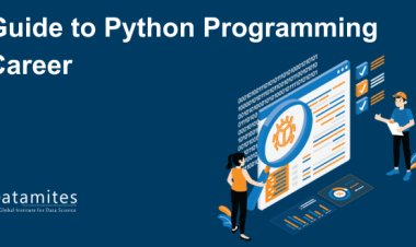 Guide to Python Programming Career