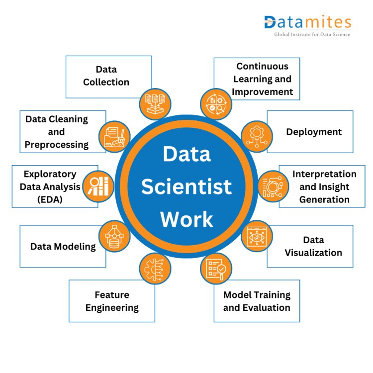 Exploring the Work of a Data Scientist