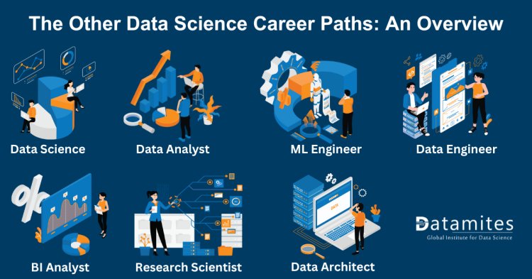 The Other Data Science Career Paths An Overview