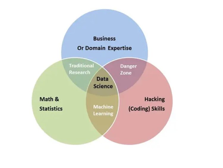 Data scientist skills